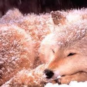 Meet your Posher, Ethan